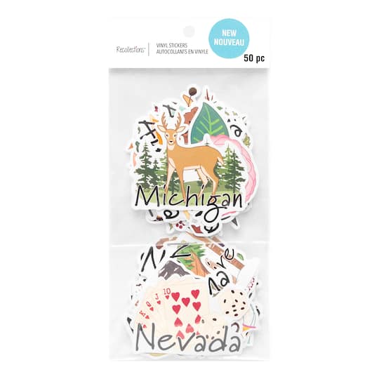 12 Pack: 50 States Vinyl Stickers by Recollections™